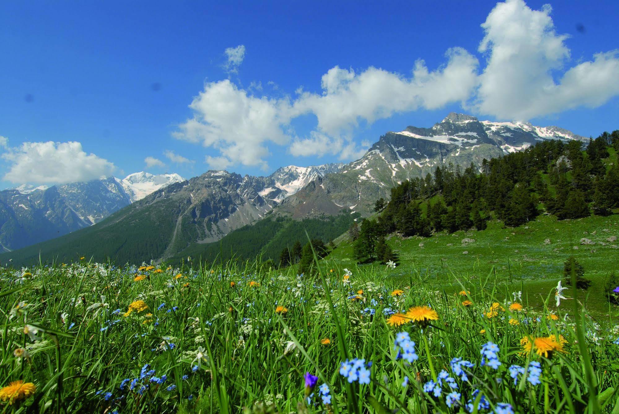 Club Vacances Bleues Les Alpes D'Azur La Salle-les-Alpes Dış mekan fotoğraf
